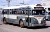 Calgary Transit System 324 GM TDH-3610 (Peter Cox 1966 May 12)