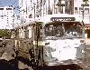 Calgary CCF-Brill trolleybus (DavesRailPix)