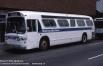 Sookram Bus Lines (GM T6H4523N) (Bob Heathorn/barp.ca June 1994)