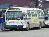 Grande Prairie buses (BARP photo)