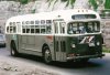 Hull City Transit 155 (GM old look) (Peter Cox collection 1966)