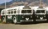 Western Bus Lines (Kamloops) 5 to 10 (GM old looks) (Peter Cox 1973)