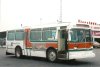 Richmond Hill Transit 504 (Orion 01) (W.E. Miller 1979)