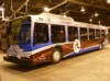 Winnipeg Transit 164 (New Flyer D40LFR) (David A. Wyatt 2011 Dec 23)