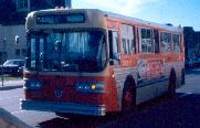 Winnipeg Flyer D800 bus (Dennis Cavanagh photo)