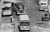 Metro buses on Graham Avenue 1971 (Winnipeg Tribune photo)