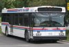 Brampton Transit 0433 (New Flyer D40LF) (Alex Regiec 2008 Aug.)