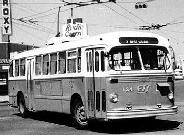 Edmonton CCF-Brill trolleybus (DavesRailPix)