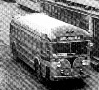 Provincial Transport Co. bus, Montreal, Qc. (Mike Rivest collection)