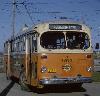 Winnipeg Metro 1812 Royal loop on McGregor (GMAnderson 1964 June)