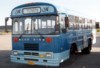 Yarmouth Argyll Transit #105,a Bluebird (David Slater/flickr 1992)