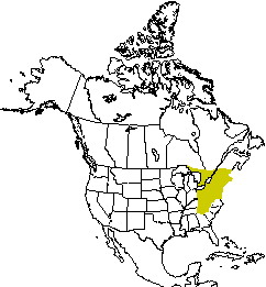Range of the 
	hairy-tailed mole