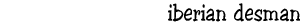 Iberian (Pyrenean) desman