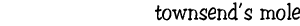Townsend's mole
