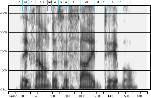 labelled spectrogram