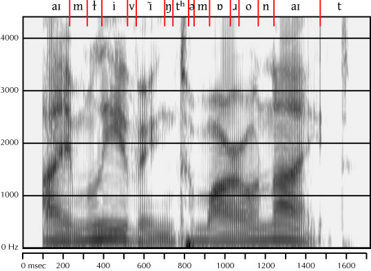 labelled spectrogram