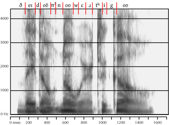 labelled spectrogram