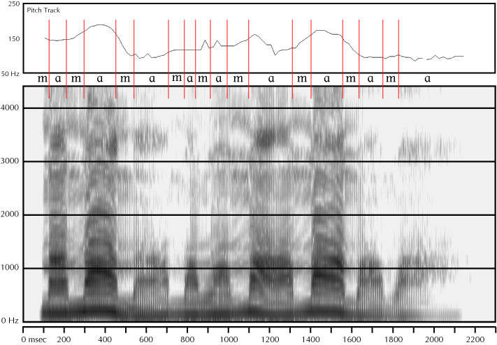 labelled spectrogram