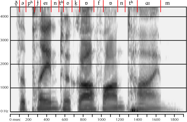 labelled spectrogram