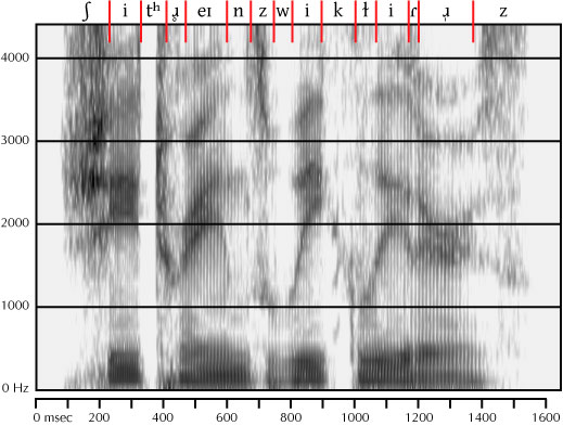 labeled spectrogram