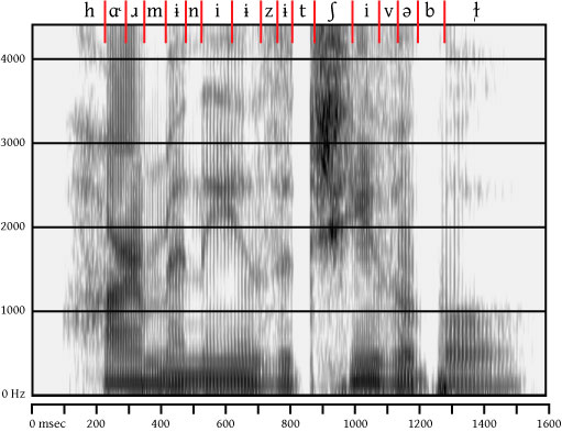 labeled spectrogram