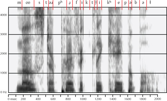 labeled spectrogram