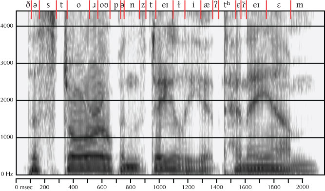 labeled spectrogram