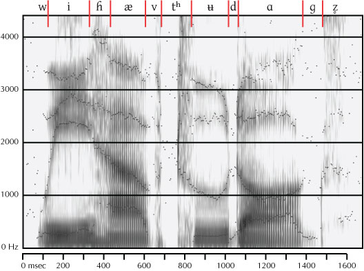 labeled spectrogram