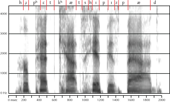 labeled spectrogram