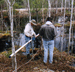 EM31