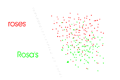 graph with two overlapping clusters
