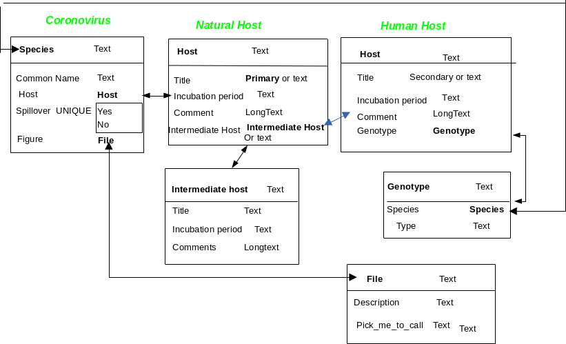 schema