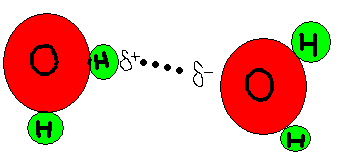 Hydrogen Bonding