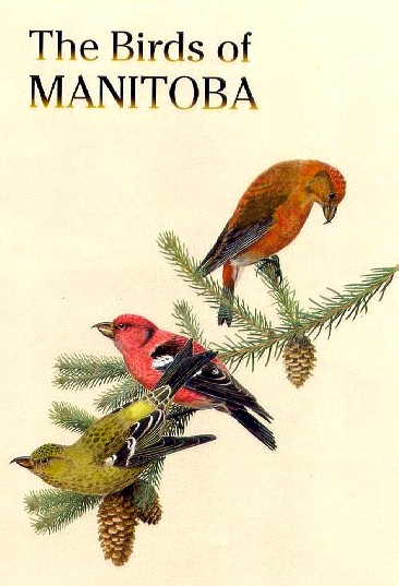 Bird Watching In Manitoba