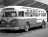 Dartmouth Transit Service Buses Ltd. #123, a 1963 GM TGH-3102 (Peter Cox)