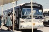 Transcona Bus Lines 38 (GM TDH-5301N) (Peter Cox 1961)