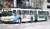 TransLink New Flyer D60 bus (Alex Regiec 2005)