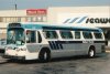 Welland Transit 107 (GM new look) (W.E. Miller 1984)
