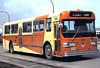 Winnipeg Transit 388 (1974 Flyer D800) (Peter Cox 1984 Mar. 28)