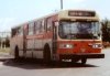 Winnipeg Transit 510 (Flyer D800A) (Brian Schuff)