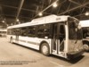 Winnipeg Transit 601 (New Flyer D40LFR) (David A. Wyatt 2011 Dec 23)