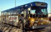 Winnipeg Transit 870 (1971 Flyer D700A) (David A. Wyatt 1986)