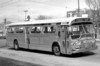 Metro Transit [Winnipeg] 171 (1962 GM TDH5301) (Peter Cox)