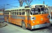 Metro Transit [Winnipeg] 919 (1952 Twin FL2-40) (Peter Cox 1966 May 16)