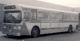 Winnipeg Flyer D800 bus (Dennis Cavanagh)